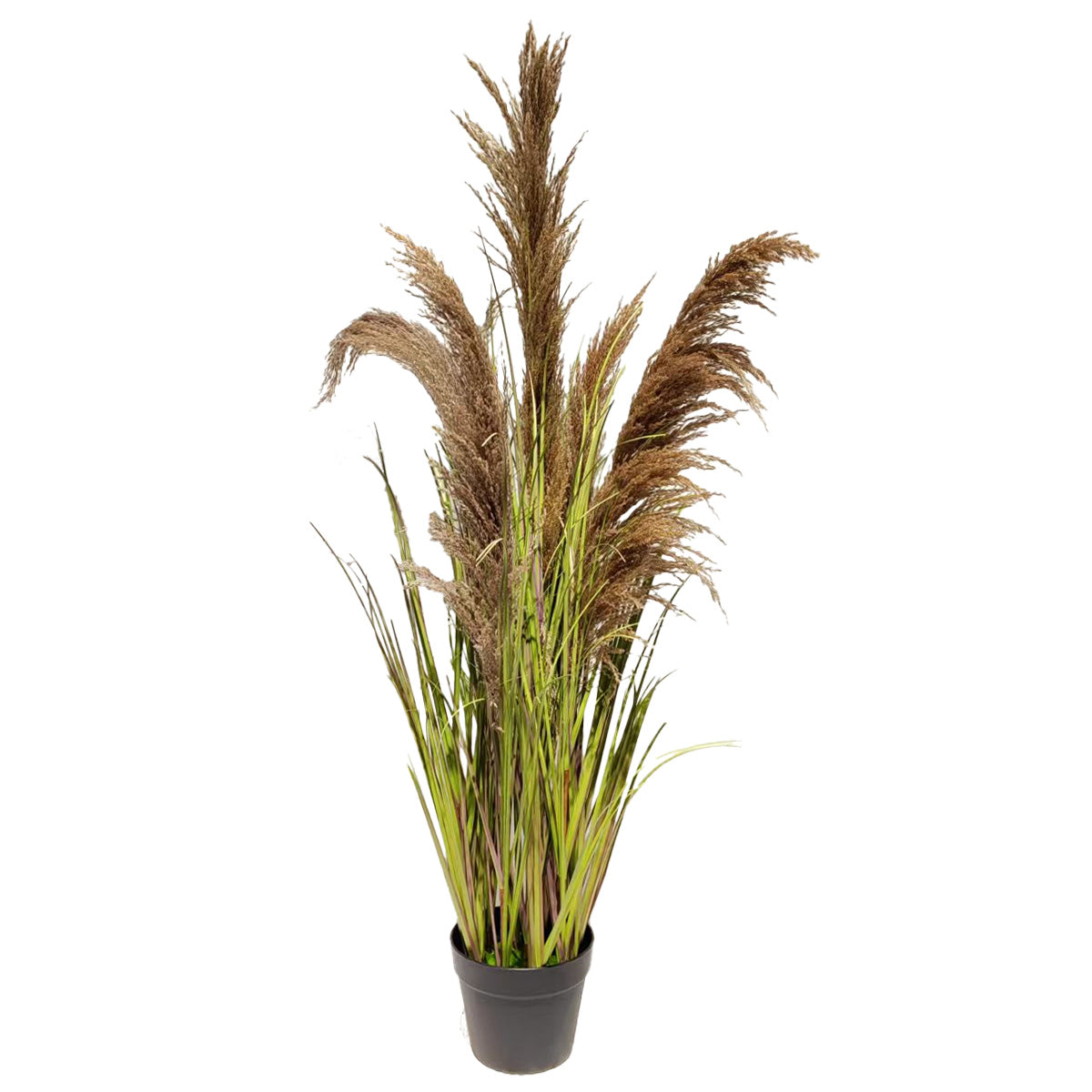 150cm Natural Pampas Grass with Tall White Planter Reed Grass Plant,Faux Plants Artificial Plants for Home Office Decor