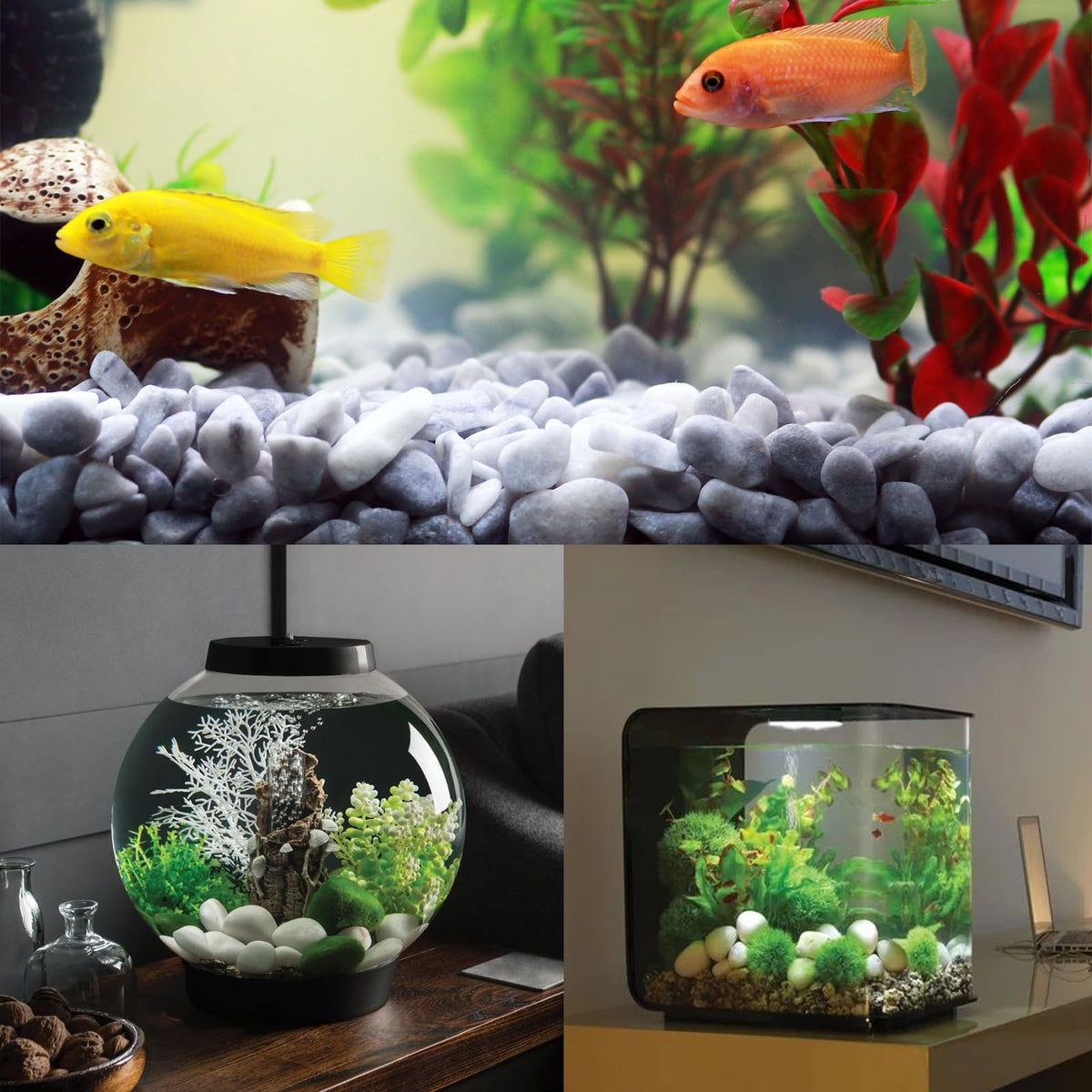 5Kg White Rocks for Plants, 1.0-5.0cm White Pebbles, Decorative Stones for Vases, Small Aquarium Gravel for Fish Tank Garden Rocks for Potted Plants & Home Decor