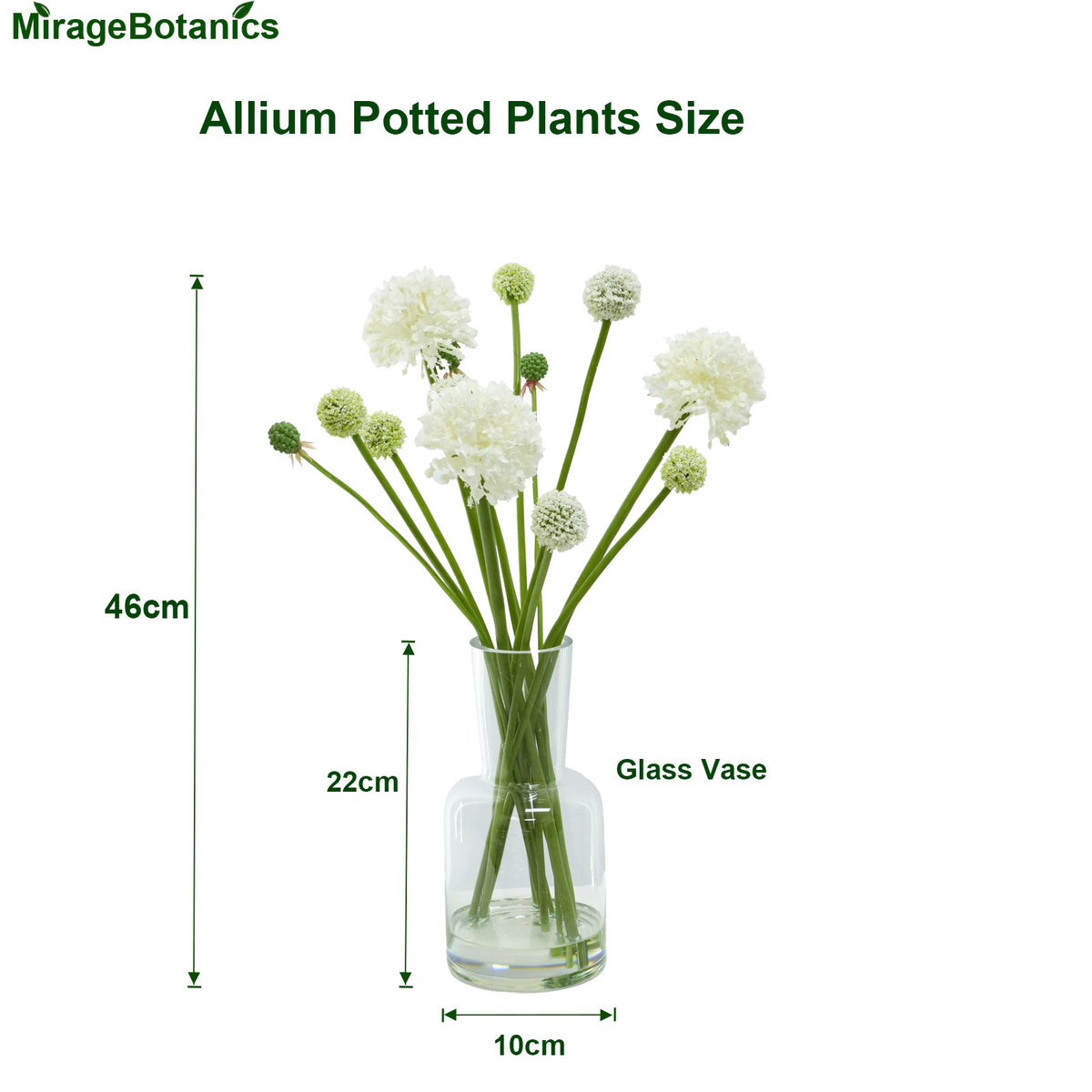 Artificial Allium Potted Plant, Scallion Faux Water Potted Plant Artificial Flowers Faux Plant With Glass Vase for Home Office Decor