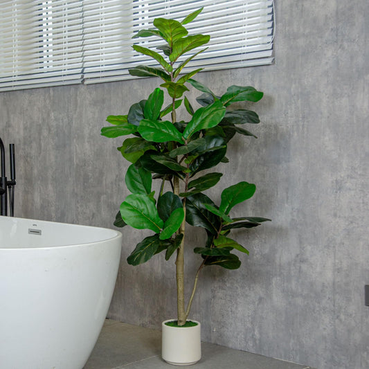 6FT Fiddle Leaf Fig Artificial Tree with White Planter Pot