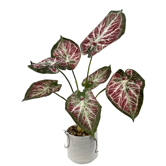 Artificial Alocasia Tree Faux Plant Tree with White Pot, Fake Plants Large Tropical Palm Tree, in Pot for Indoor Outdoor Office Garden balcony patio Home Decor (Caladium Bicolor (Purple))