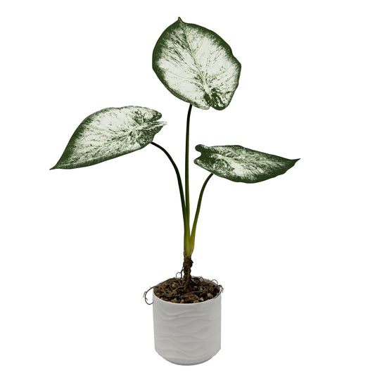 Artificial Caladium Bicolor Tree Faux Plant Tree with White Pot, Fake Plants Large Tropical Palm Tree, in Pot for Indoor Outdoor Office Garden balcony patio Home Decor ( 3 Trunks)