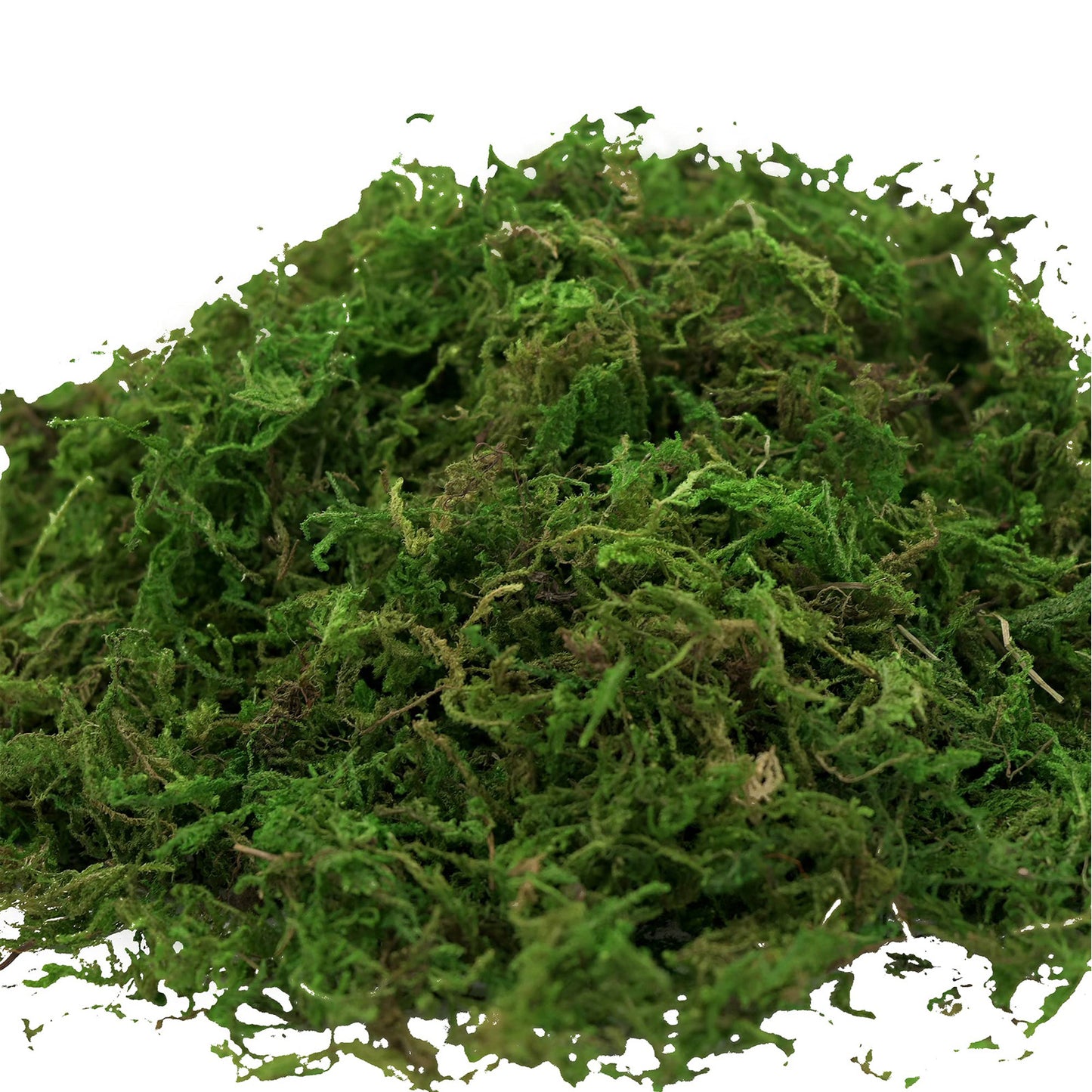 100g Natural Moss for Plants Indoor, Real Moss for Arts and Crafts for Potted Fairy Garden DIY Model Making Walls Glass Containers Home Decor (3.5 oz)