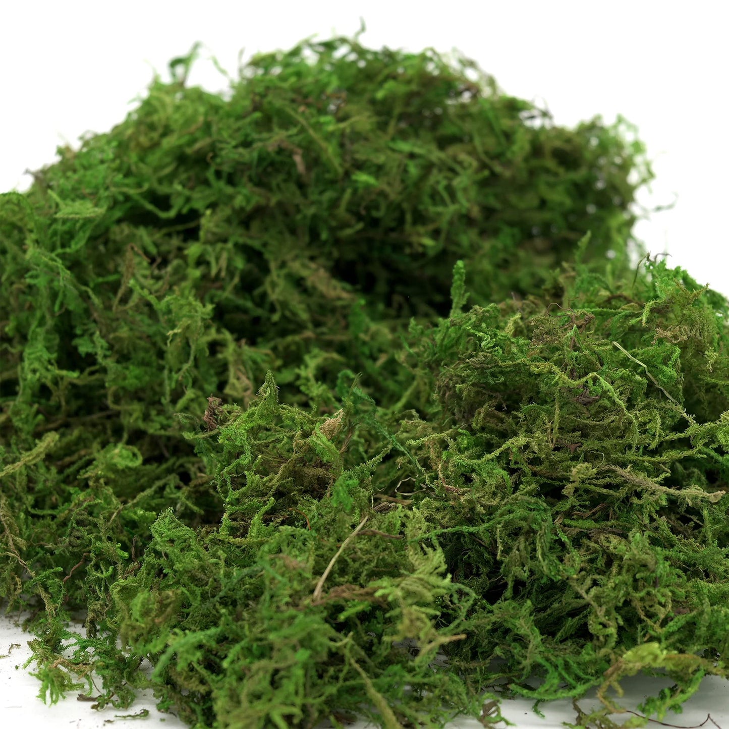 100g Natural Moss for Plants Indoor, Real Moss for Arts and Crafts for Potted Fairy Garden DIY Model Making Walls Glass Containers Home Decor (3.5 oz)