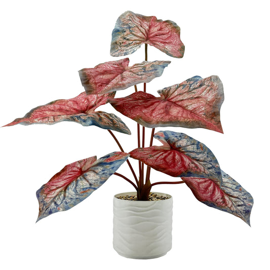 55cm Artificial Caladium Bicolor Tree Faux Plant with White Pot, Fake Plants Large Tropical Palm Tree, in Pot for Indoor Outdoor Office Garden Balcony Patio Home Decor (Red-Blue)