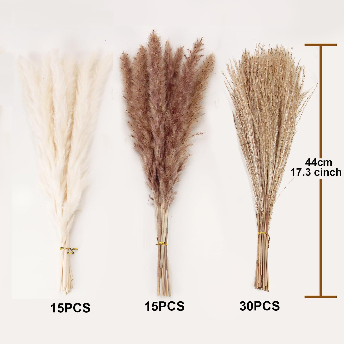 Natural Dried Pampas Grass Bouquet: Brown Gray White Reed Pampas with Vase,Dry Plants Dry Flowers Arrangements Decorations for Home Room Office Party 60Pcs