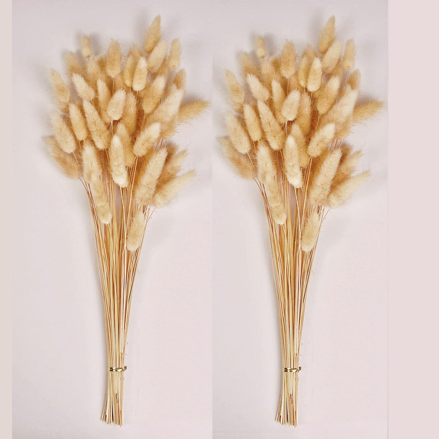120PCS Bunny Tails Dried Flowers, Dried Rabbit Tail Grass Bouquet, Boho Table Decor, White Pampas Grass small, dried bunny tails for Wedding, Home, Rustic Party, Baby Shower Decor