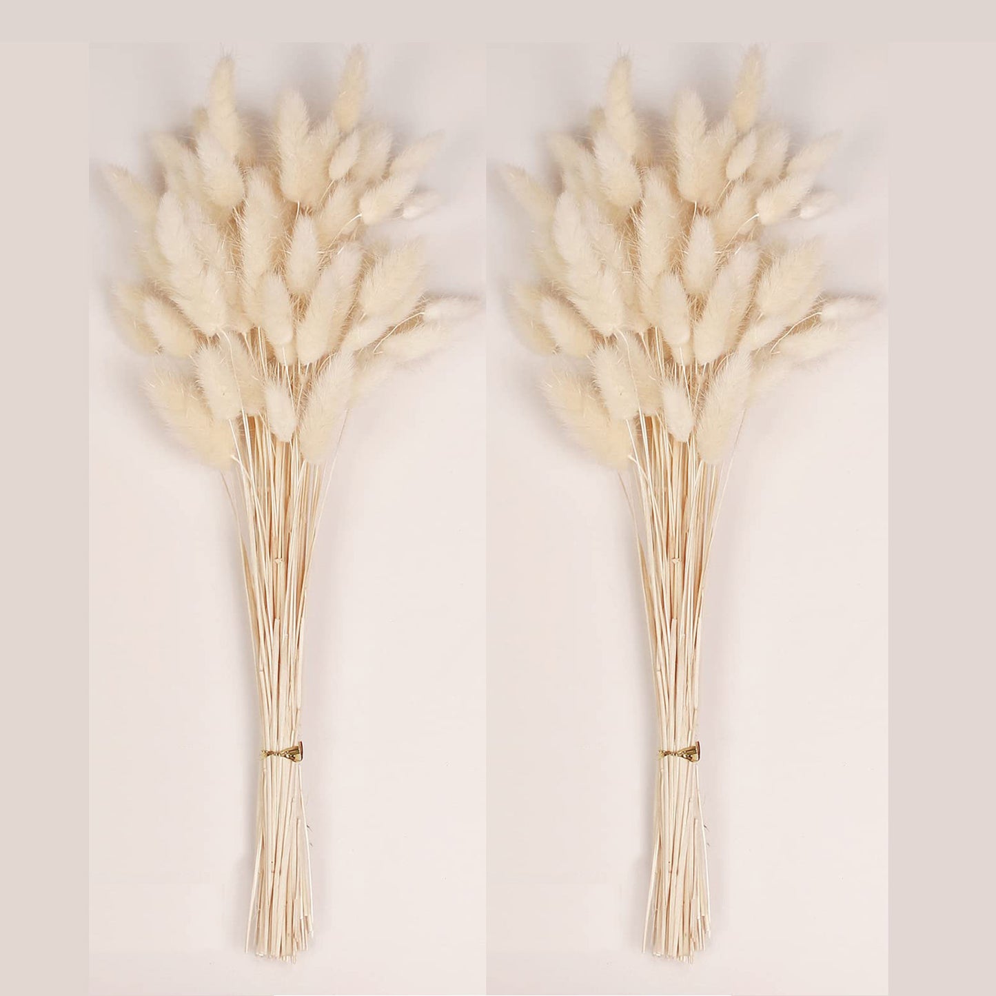 120PCS Bunny Tails Dried Flowers, Dried Rabbit Tail Grass Bouquet, Boho Table Decor, White Pampas Grass small, dried bunny tails for Wedding, Home, Rustic Party, Baby Shower Decor