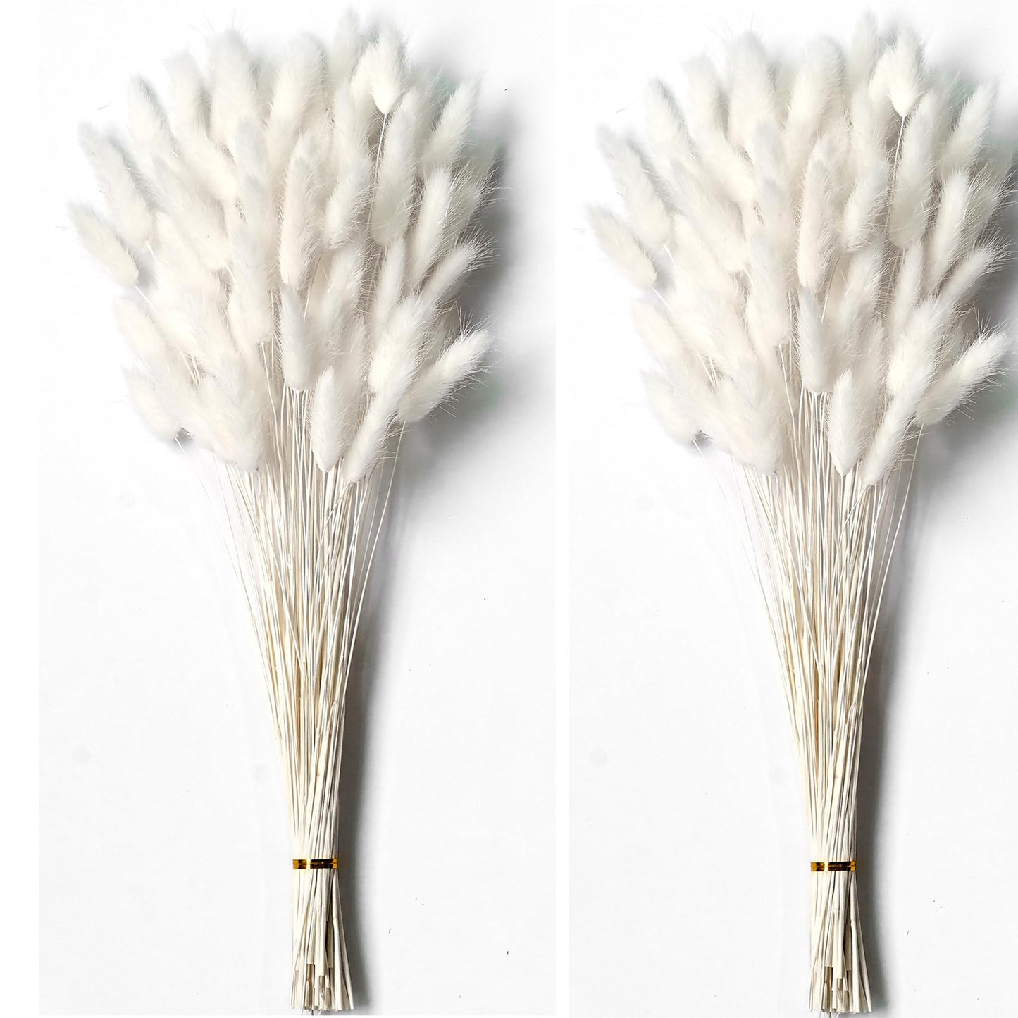 120PCS Bunny Tails Dried Flowers, Dried Rabbit Tail Grass Bouquet, Boho Table Decor, White Pampas Grass small, dried bunny tails for Wedding, Home, Rustic Party, Baby Shower Decor