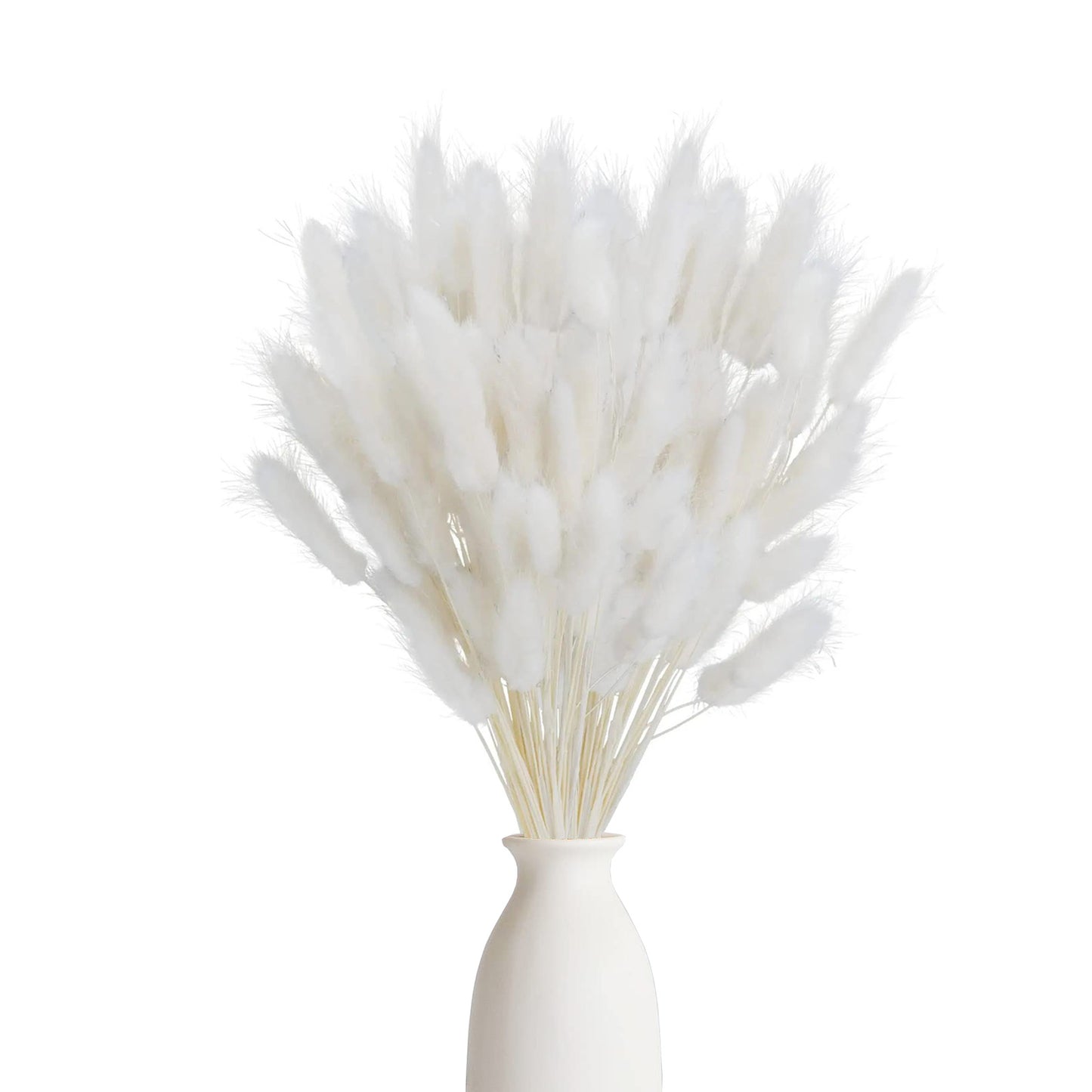 120PCS Bunny Tails Dried Flowers, Dried Rabbit Tail Grass Bouquet, Boho Table Decor, White Pampas Grass small, dried bunny tails for Wedding, Home, Rustic Party, Baby Shower Decor