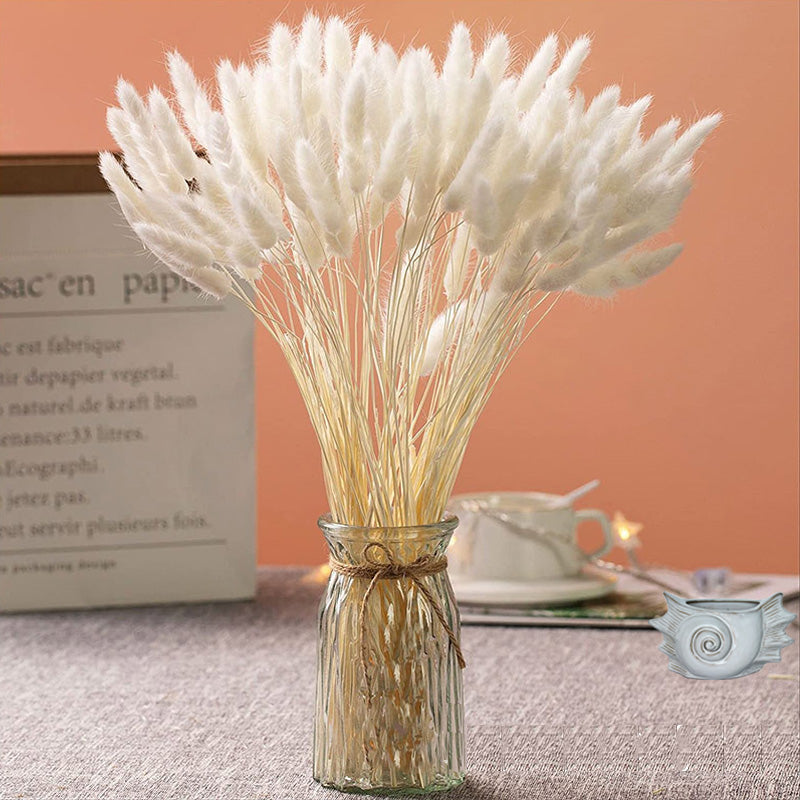 120PCS Bunny Tails Dried Flowers, Dried Rabbit Tail Grass Bouquet, Boho Table Decor, White Pampas Grass small, dried bunny tails for Wedding, Home, Rustic Party, Baby Shower Decor