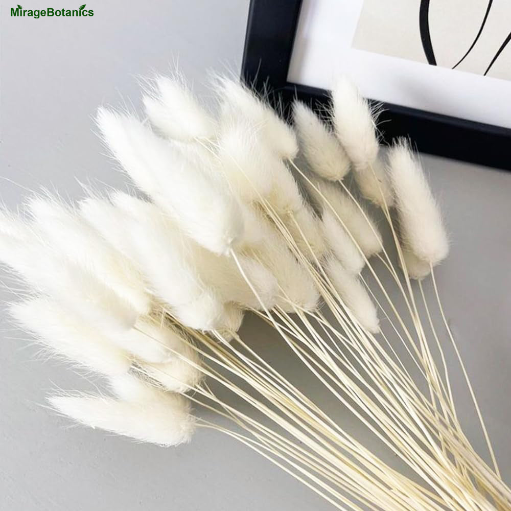 120PCS Bunny Tails Dried Flowers, Dried Rabbit Tail Grass Bouquet, Boho Table Decor, White Pampas Grass small, dried bunny tails for Wedding, Home, Rustic Party, Baby Shower Decor
