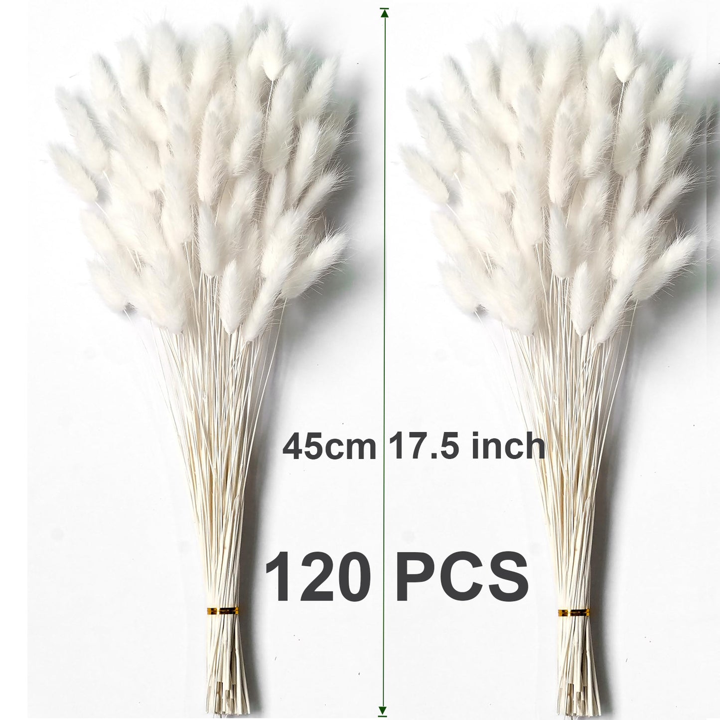 120PCS Bunny Tails Dried Flowers, Dried Rabbit Tail Grass Bouquet, Boho Table Decor, White Pampas Grass small, dried bunny tails for Wedding, Home, Rustic Party, Baby Shower Decor