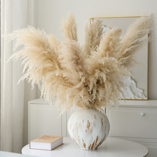 Natural Pampas Grass Home Decoration, Reed Grass, Pompas Grass, Dry Plants Tall Pampas Grass for Home ,Office, Weddingm, Farmhouse, Boho Decor