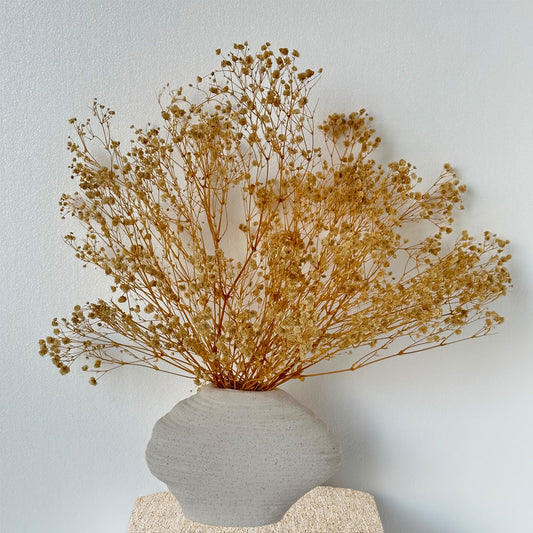 2000+ Bulk Bleached Dried   Babys Breath Bouquet, Pure White - Gold Gypsophila Flowers, Long-Lasting Wedding, Home, Party Decor -  Floral Arrangements Dried Flower for Office Home Decor (Gold)