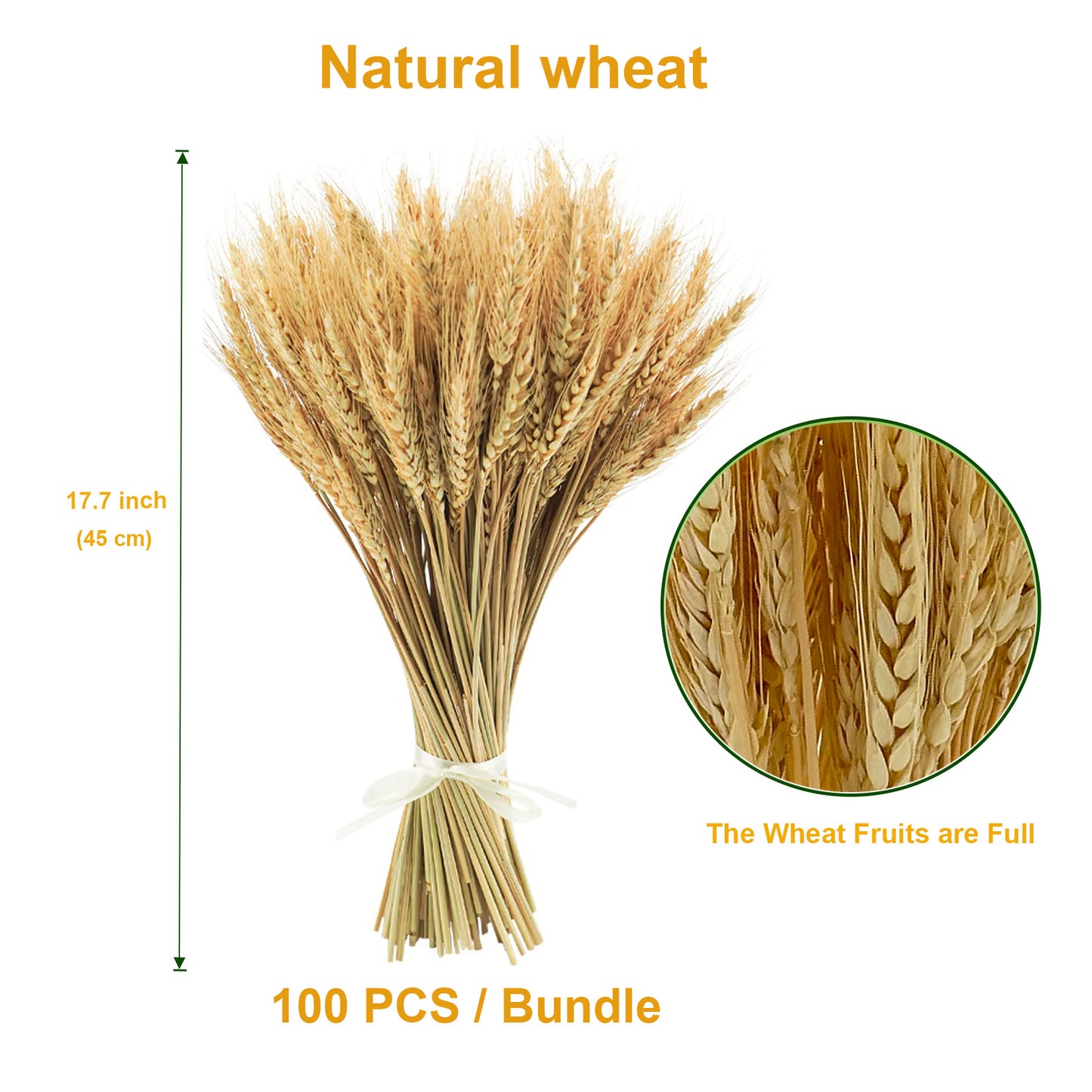 100 Stems 45cm Dried Wheat Flowers - Natural Ear of Wheat Grain Flowers - DIY Arrangements for Home, Wedding, Store Decorative Autumn Wreath Decoration