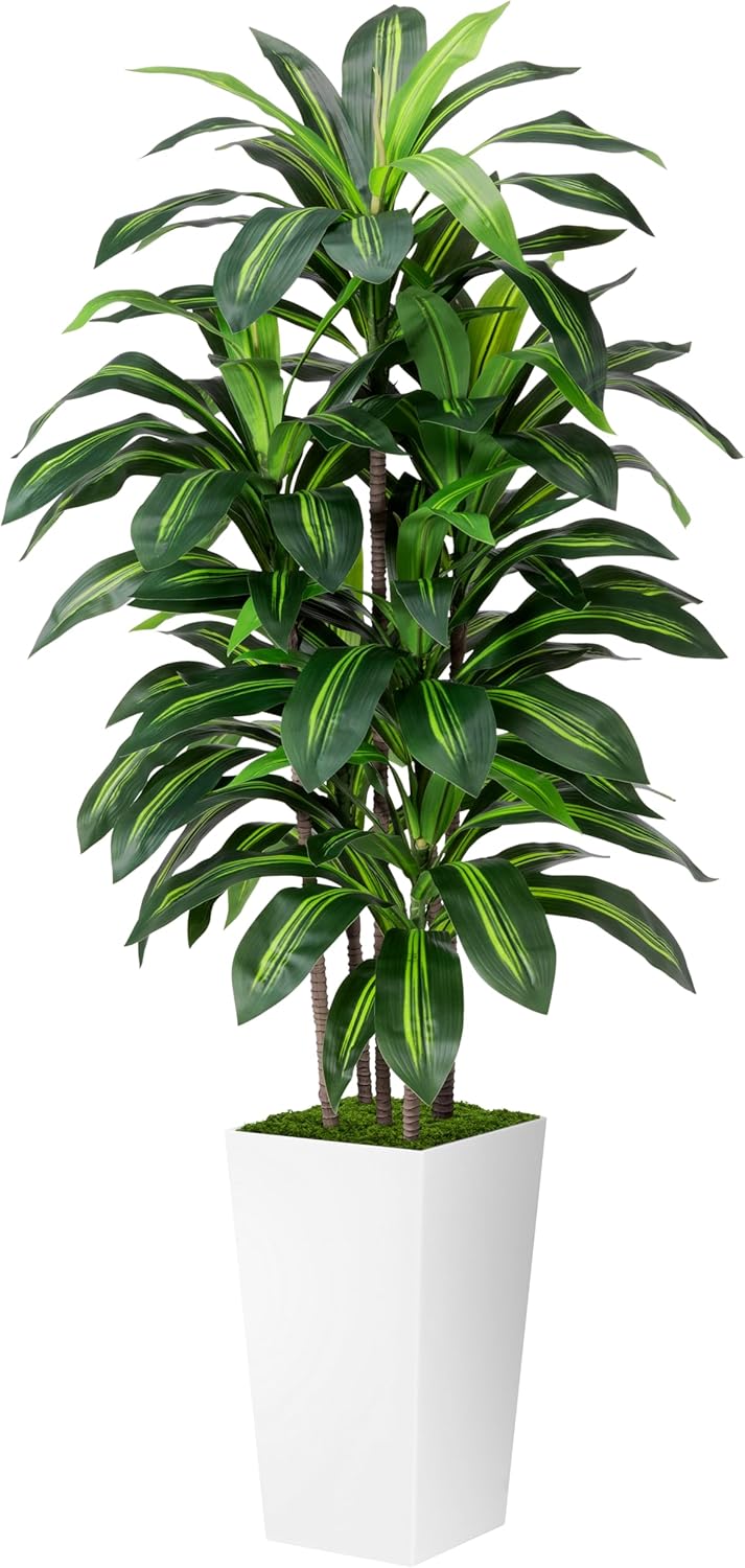 Artificial Dracaena Plant Indoor 5FT - Fake Tree with White Tall Planter