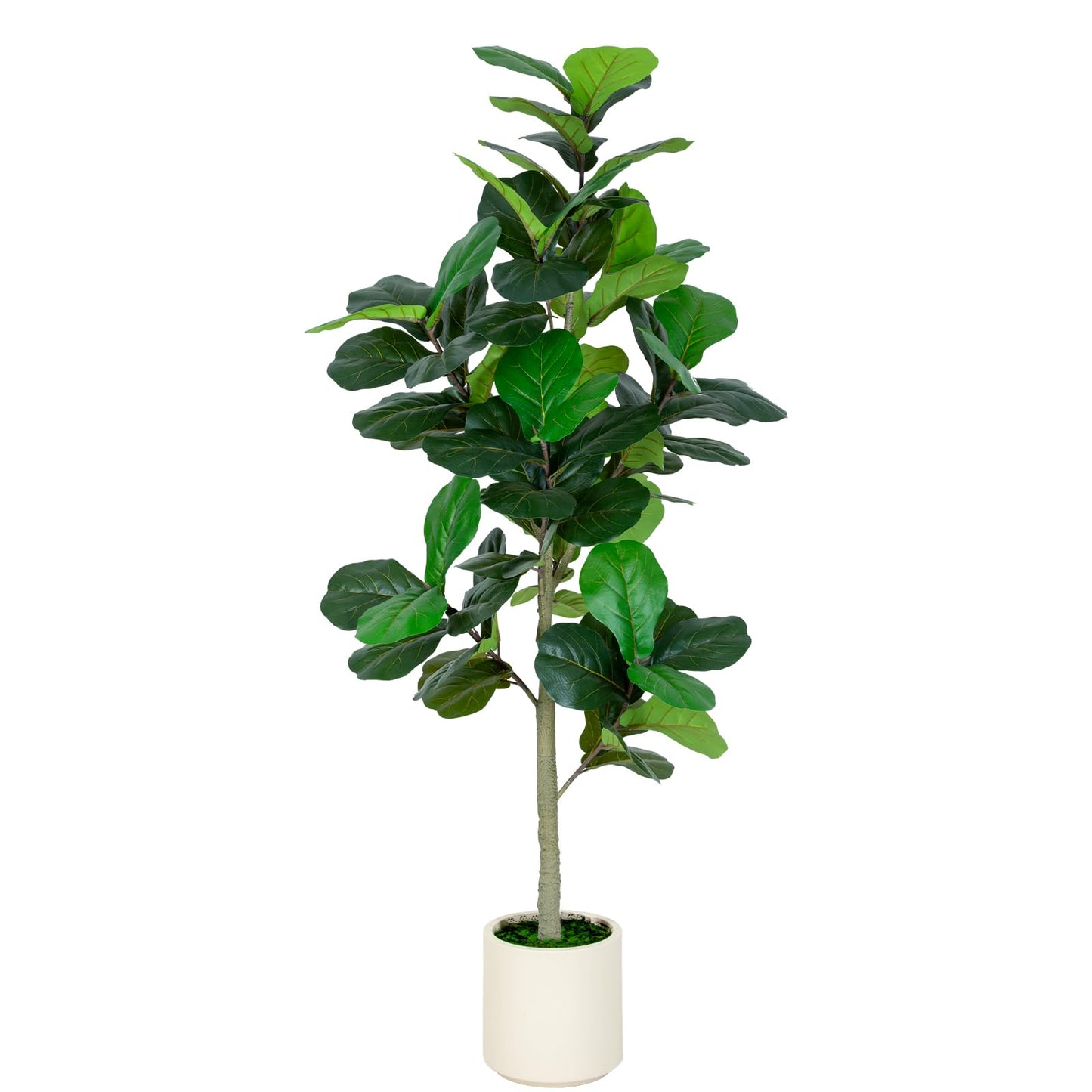 6FT Fiddle Leaf Fig Artificial Tree with White Planter Pot