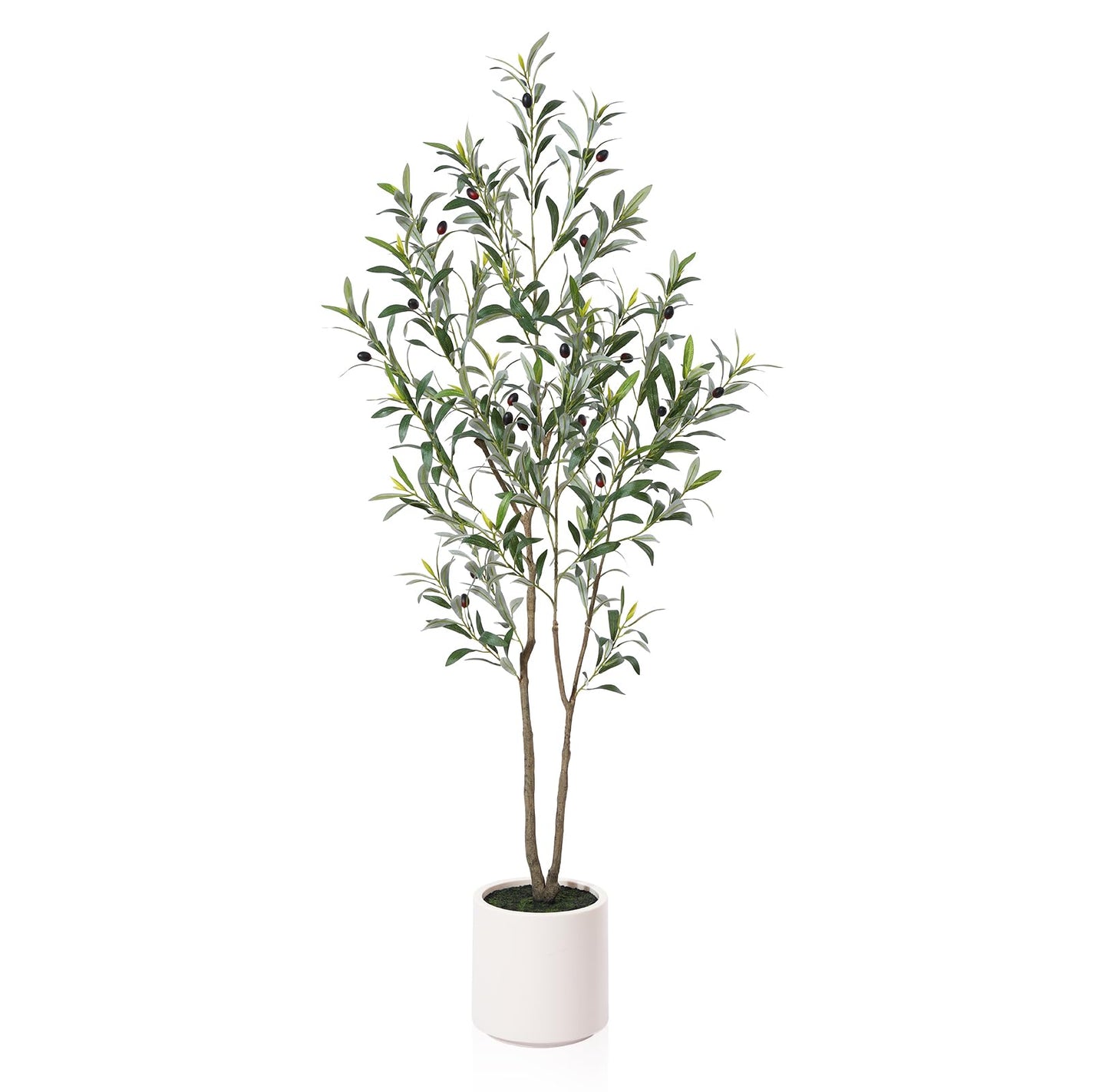 6~7FT Artificial Olive Trees Indoor Outdoor with White Tall Planter