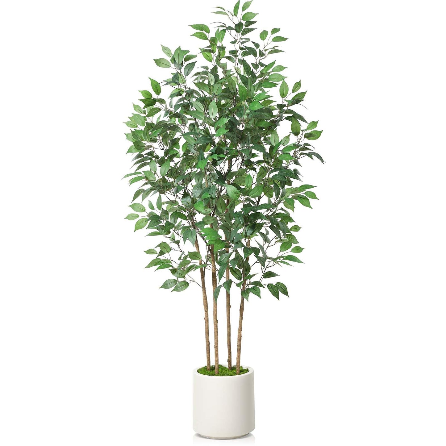 Artificial Ficus Tree with White Planter Pot 5ft 6ft 7ft