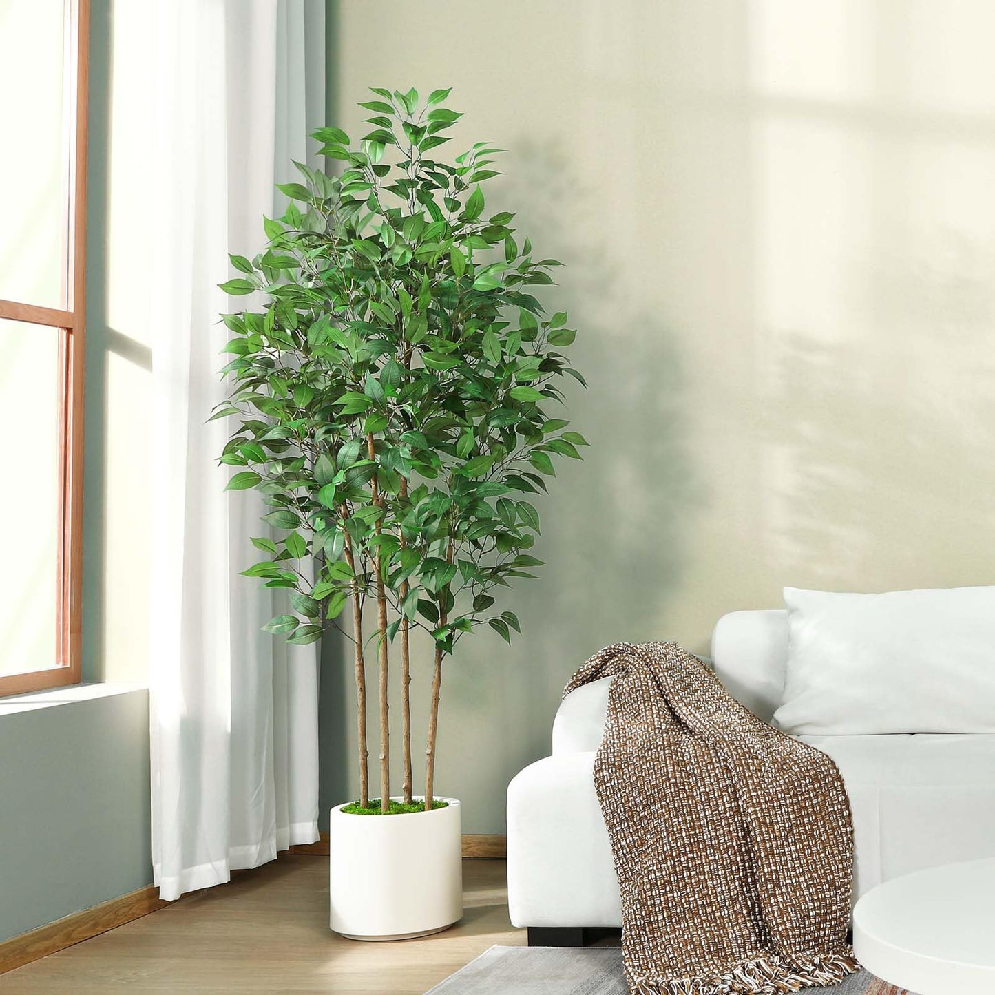 Artificial Ficus Tree with White Planter Pot 5ft 6ft 7ft