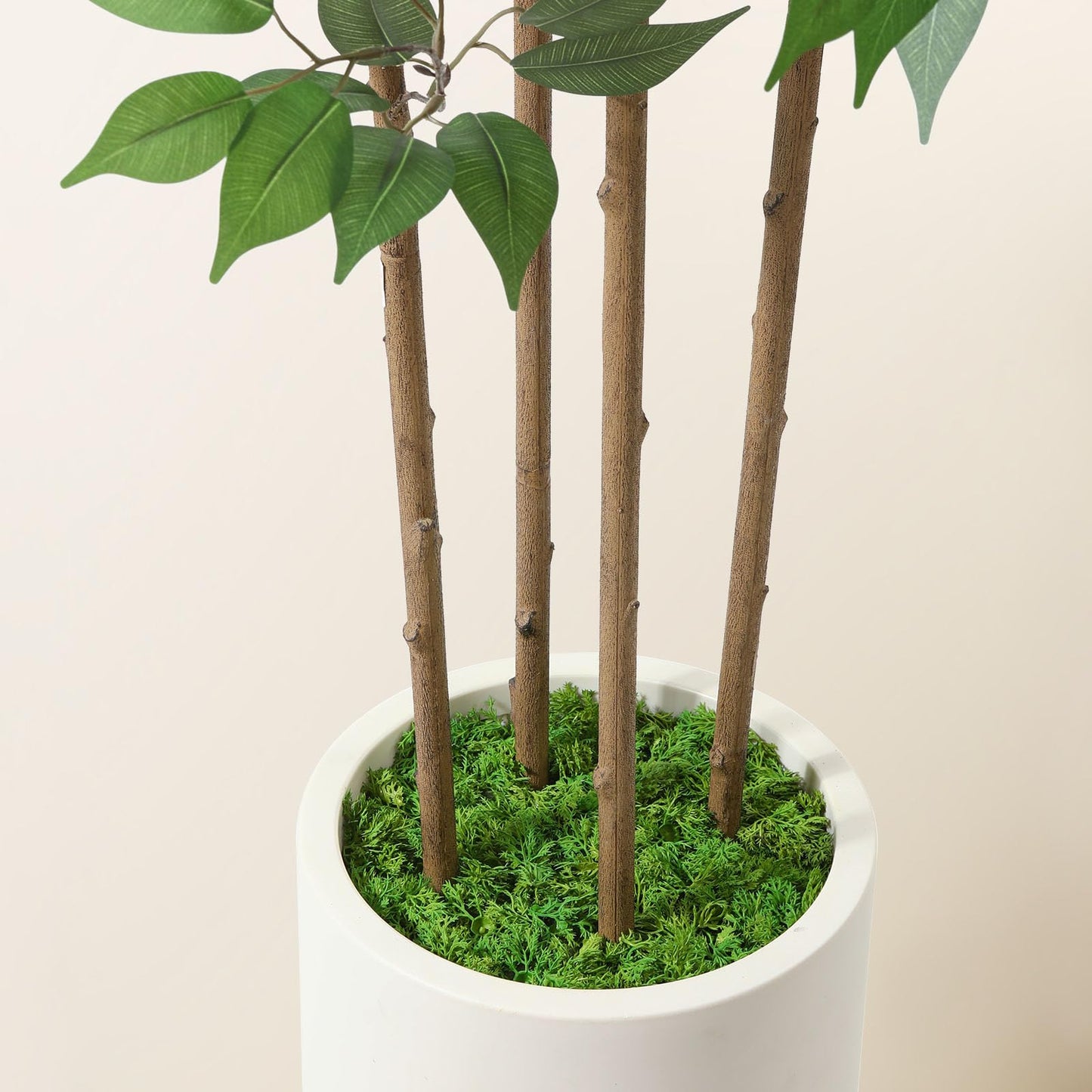 Artificial Ficus Tree with White Planter Pot 5ft 6ft 7ft