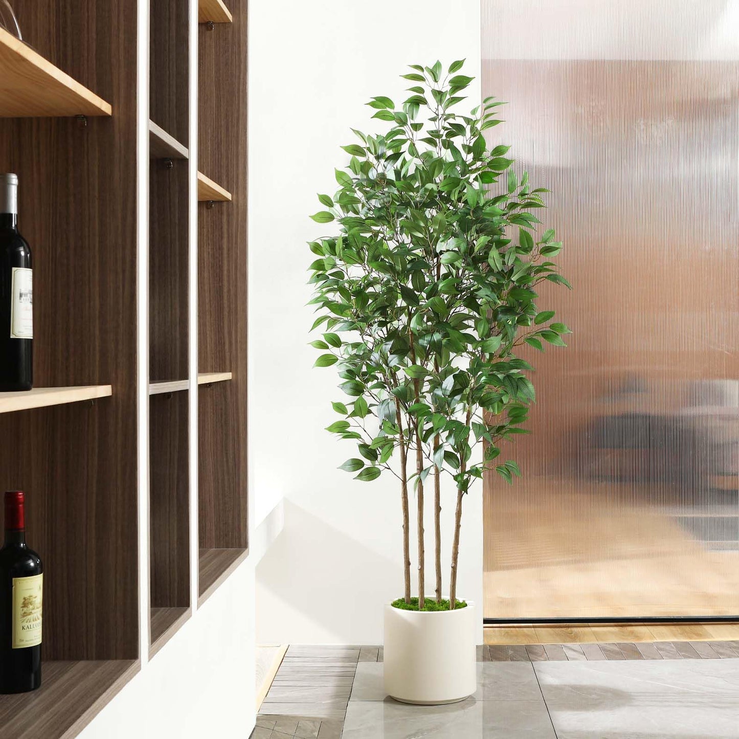 Artificial Ficus Tree with White Planter Pot 5ft 6ft 7ft